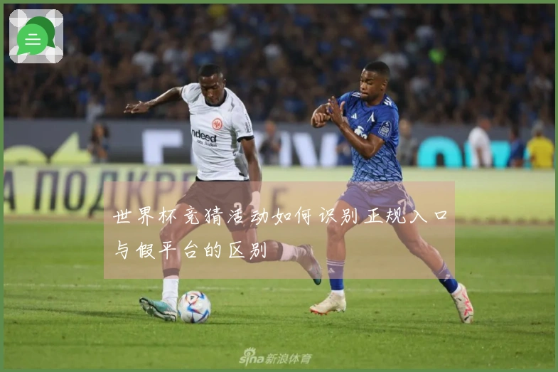 世界杯竞猜活动如何识别正规入口与假平台的区别