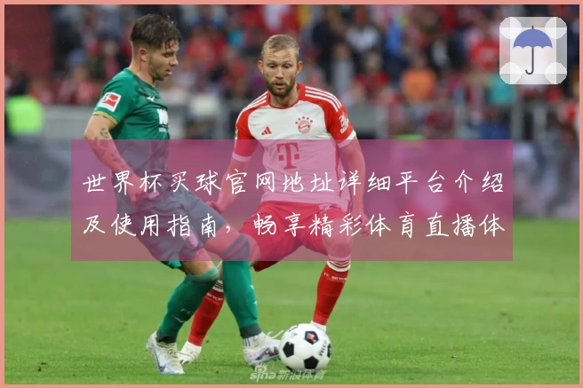 世界杯买球官网地址详细平台介绍及使用指南,畅享精彩体育直播体验