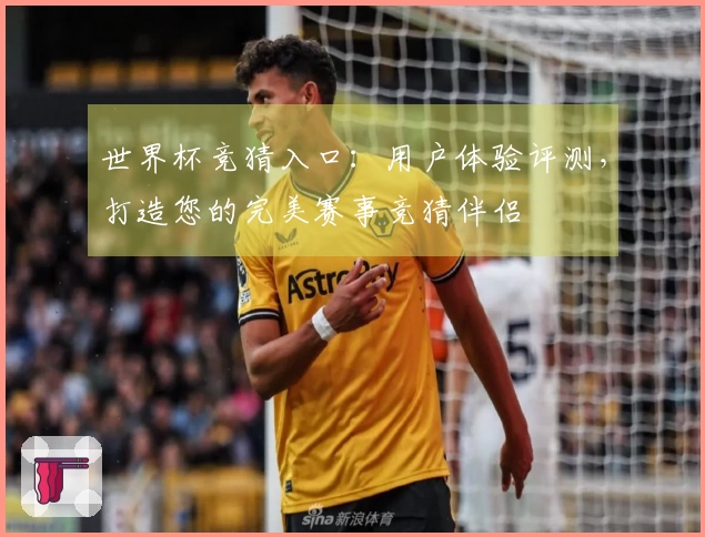 世界杯竞猜入口：用户体验评测，打造您的完美赛事竞猜伴侣