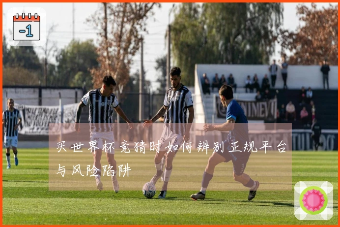 买世界杯竞猜时如何辨别正规平台与风险陷阱