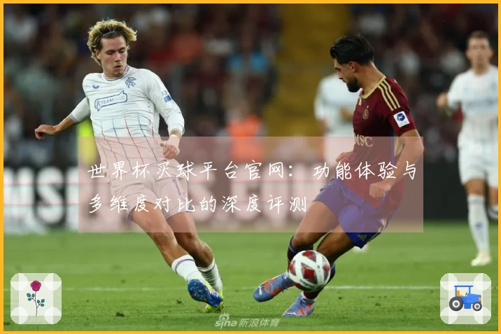 世界杯买球平台官网：功能体验与多维度对比的深度评测