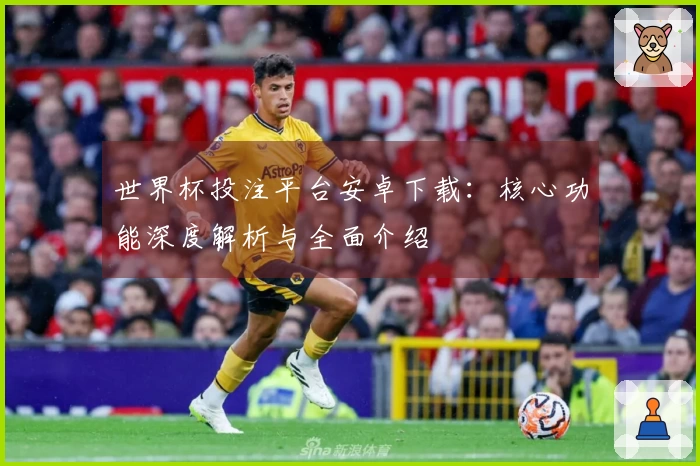 世界杯投注平台安卓下载：核心功能深度解析与全面介绍