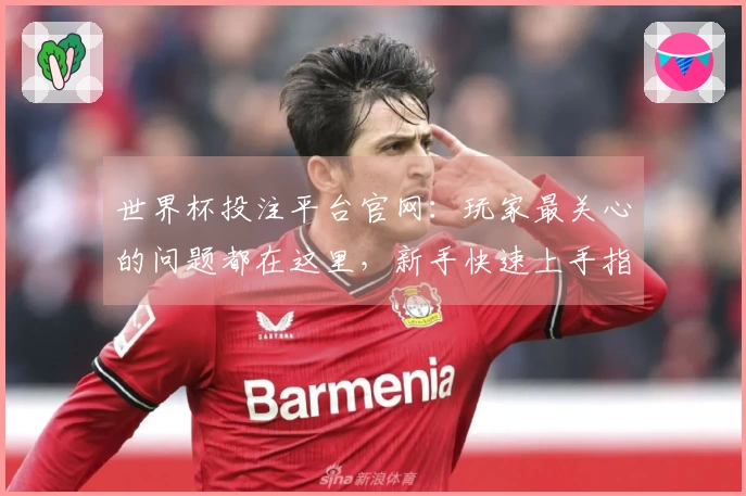 世界杯投注平台官网：玩家最关心的问题都在这里，新手快速上手指南