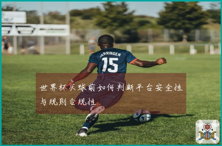 世界杯买球前如何判断平台安全性与规则合规性