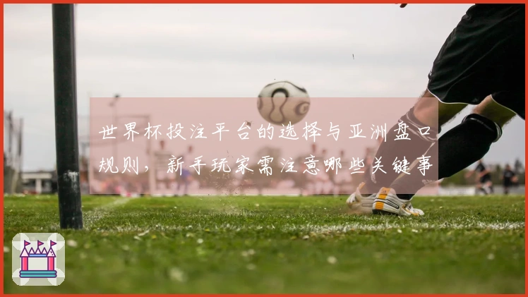 世界杯投注平台的选择与亚洲盘口规则，新手玩家需注意哪些关键事项