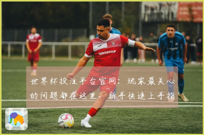 世界杯投注平台官网：玩家最关心的问题都在这里，新手快速上手指南