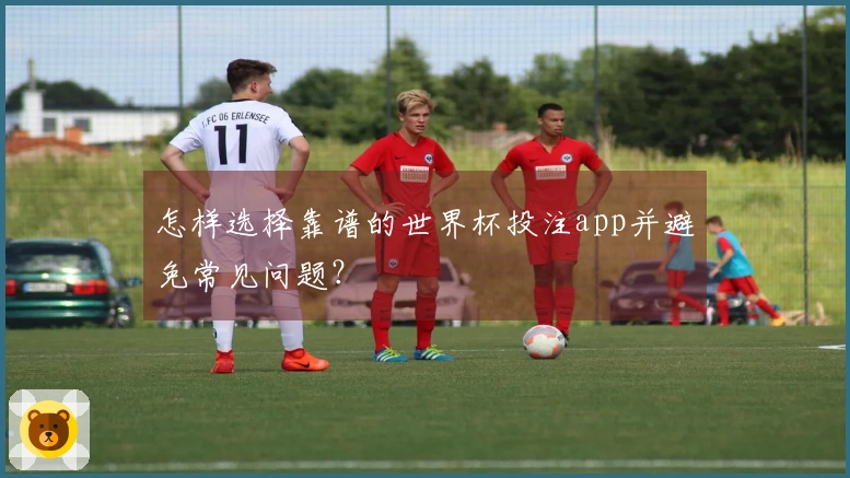 怎样选择靠谱的世界杯投注app并避免常见问题？