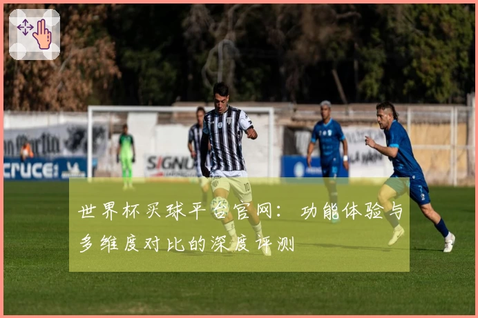 世界杯买球平台官网：功能体验与多维度对比的深度评测