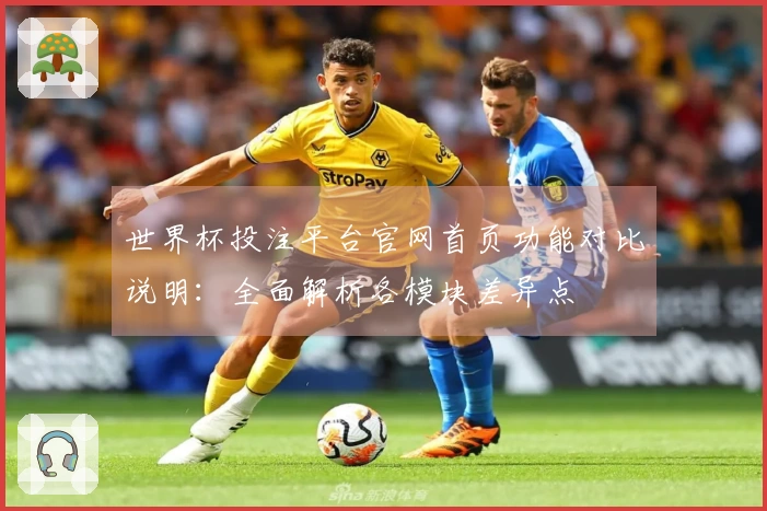 世界杯投注平台官网首页功能对比说明:全面解析各模块差异点