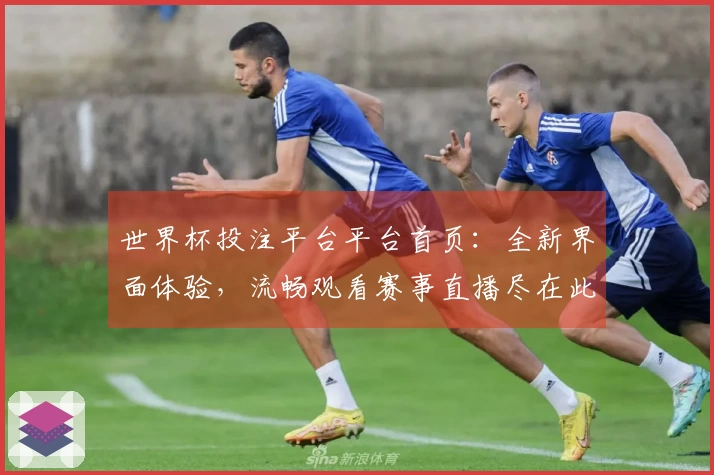 世界杯投注平台平台首页：全新界面体验，流畅观看赛事直播尽在此处