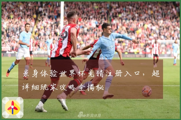 亲身体验世界杯竞猜注册入口，超详细玩家攻略全揭秘