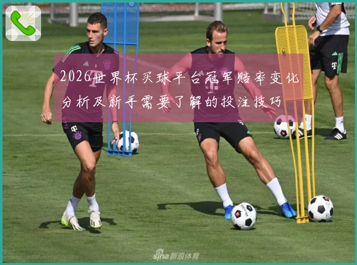 2026世界杯买球平台冠军赔率变化分析及新手需要了解的投注技巧